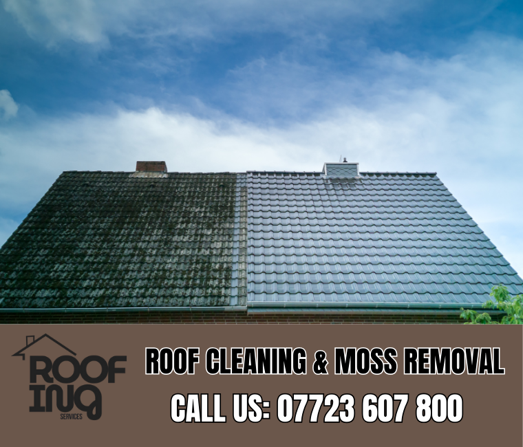 Roof cleaning and moss removal in Plymouth