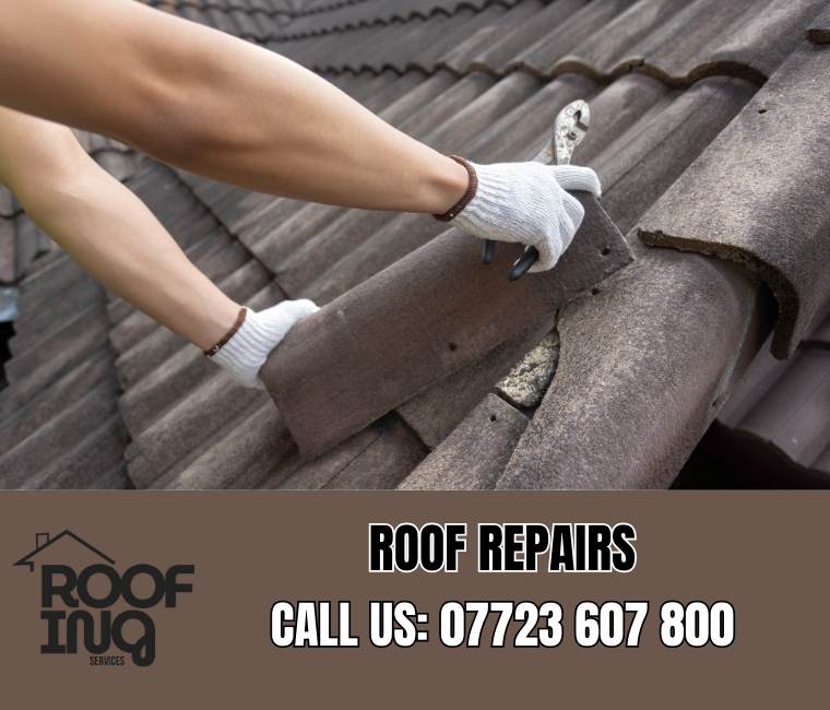 Roof Repairs in Plymouth
